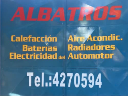 albatros-foto