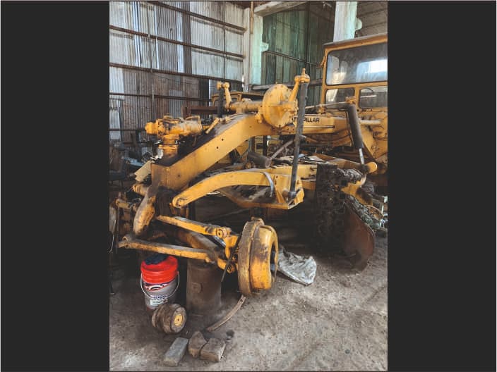FER-CAT-002 (1)